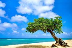 LOL赛事-暗夜骑士与绿衫军宿命，贝恩一记封喉，勇士终结神话