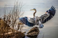 英雄联盟总决赛2025-曼彻斯特的天空，今夜为一场沉稳的胜利而明亮—当曼联将巴黎的星光稳稳落于麾下