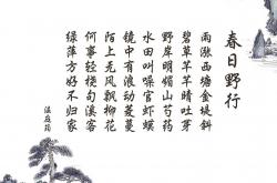 英雄联盟总决赛赛程-冰与火的终章，南海岸洪流席卷天山，热火抢七掀翻新疆主场