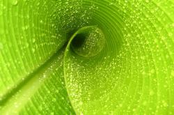 LOL决赛-福克斯冷血绝杀显锋芒，北京队鏖战失利憾负猛龙