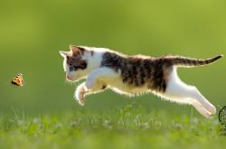 -密尔沃基铁骑踏碎风城玫瑰，一场决定季后赛版图的排位绞杀战