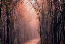 最新世界杯：德国止步掘金！技术统计揭开钢铁战车熄火真相