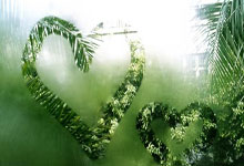 小组赛NBA惊现足球巨星！哈兰德率神秘队险胜葡萄牙引爆全球热搜