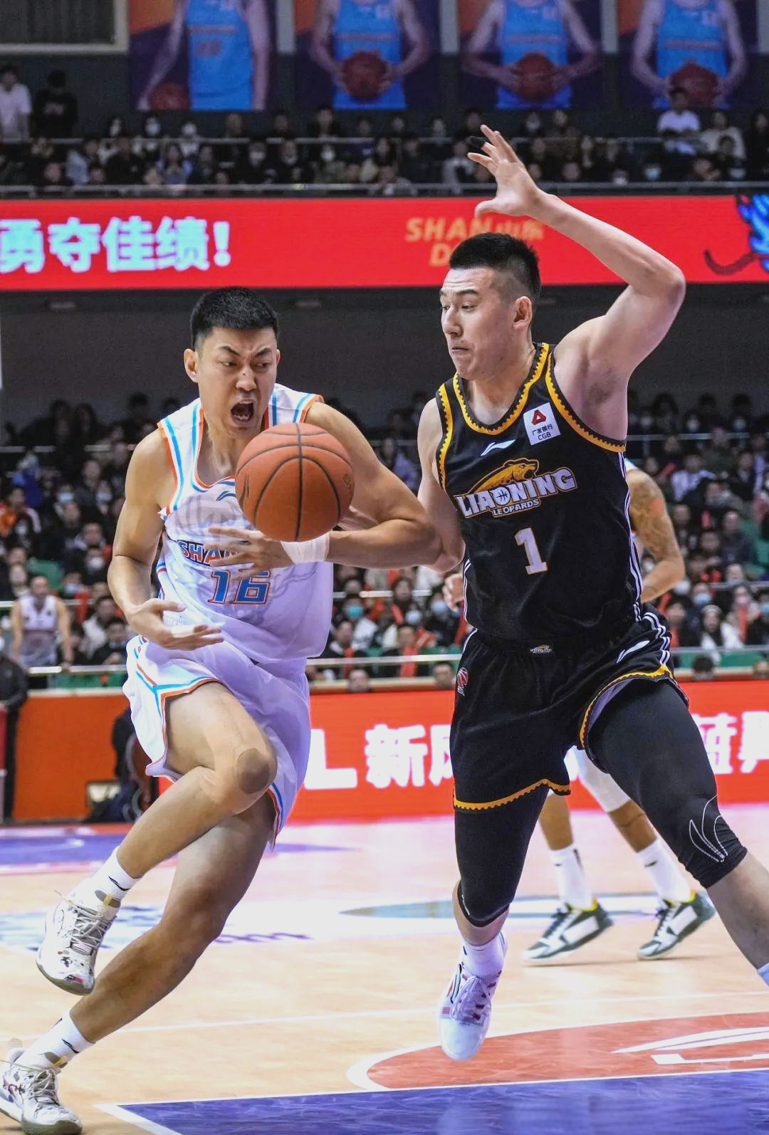 青岛男篮备战新赛季试训新成员