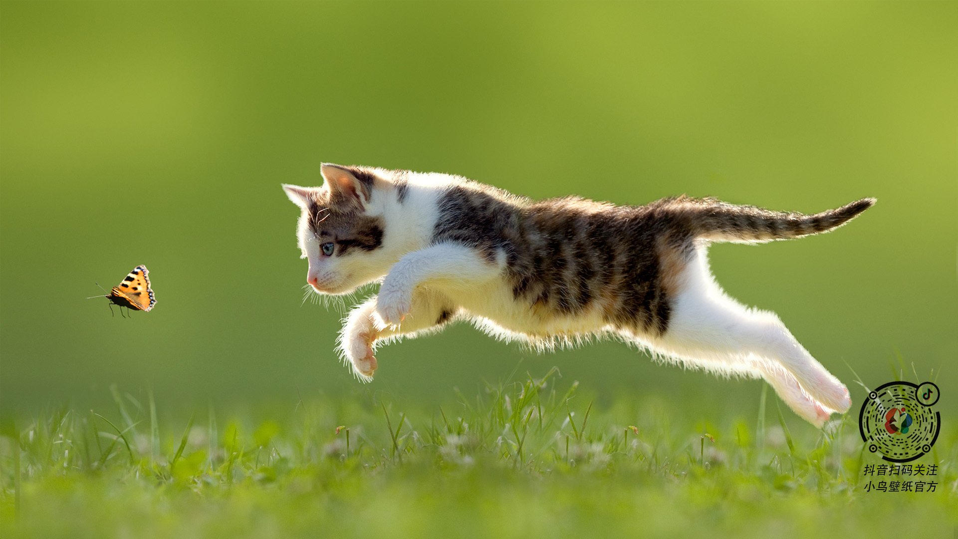 时间裂缝中的对决,当红魔曼联遭遇特兰加雄狮,奥斯梅恩的跨维度压制