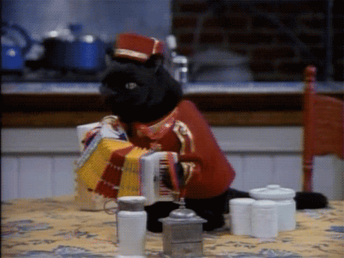 蓄势待发,伊布的三支箭,划破焦点之夜的永恒寂静