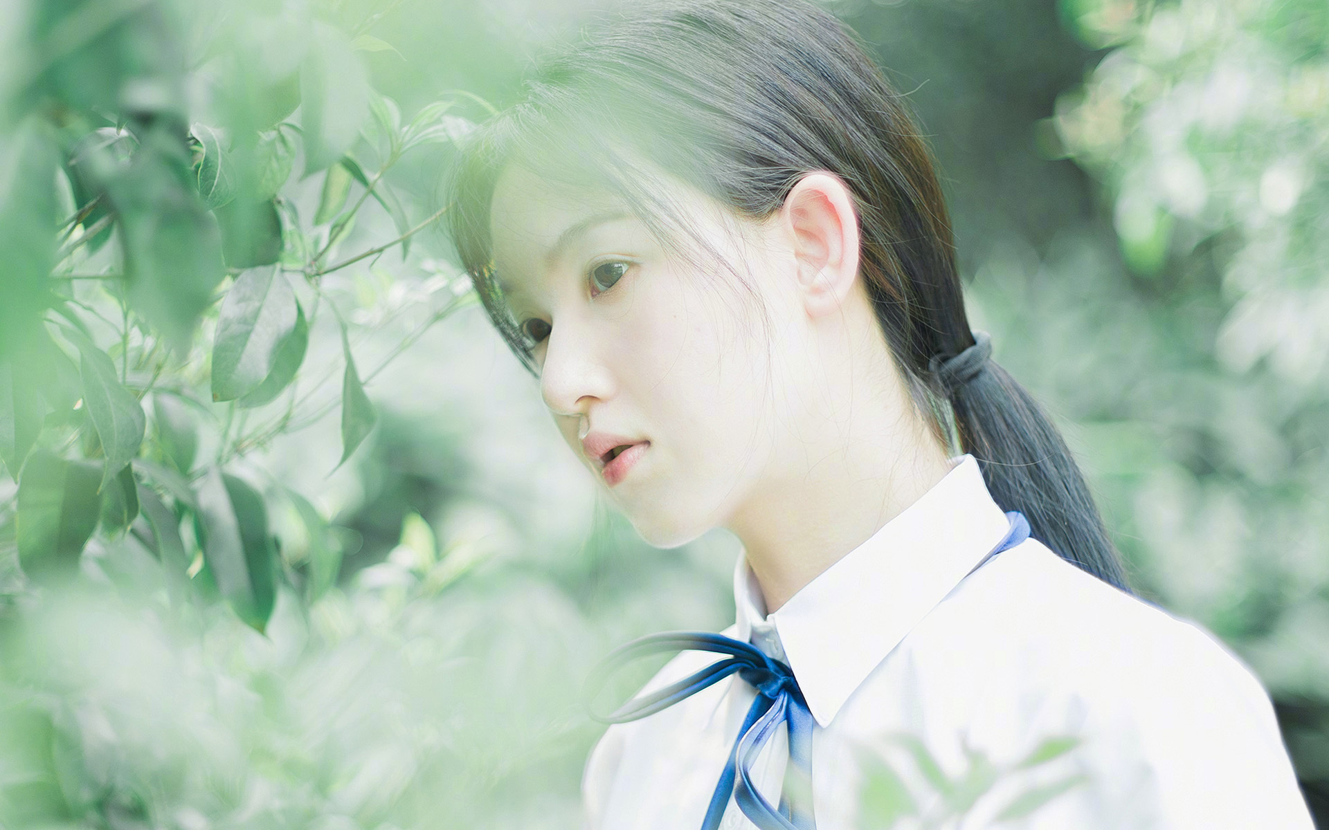 冰与火的节奏熔炉,库里如何成为破解热火的唯一解法