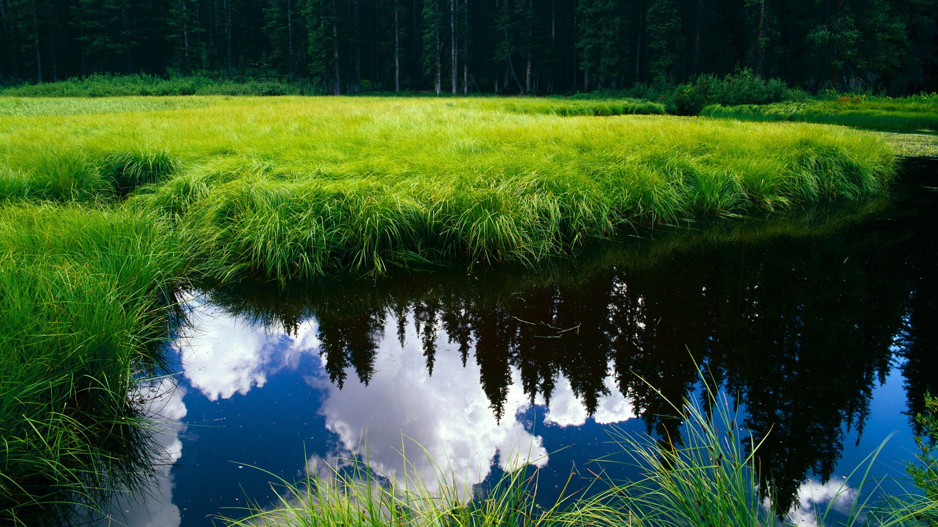 如果结局不同，火箭末节逆转绿军，重写历史轨迹的东决焦点战