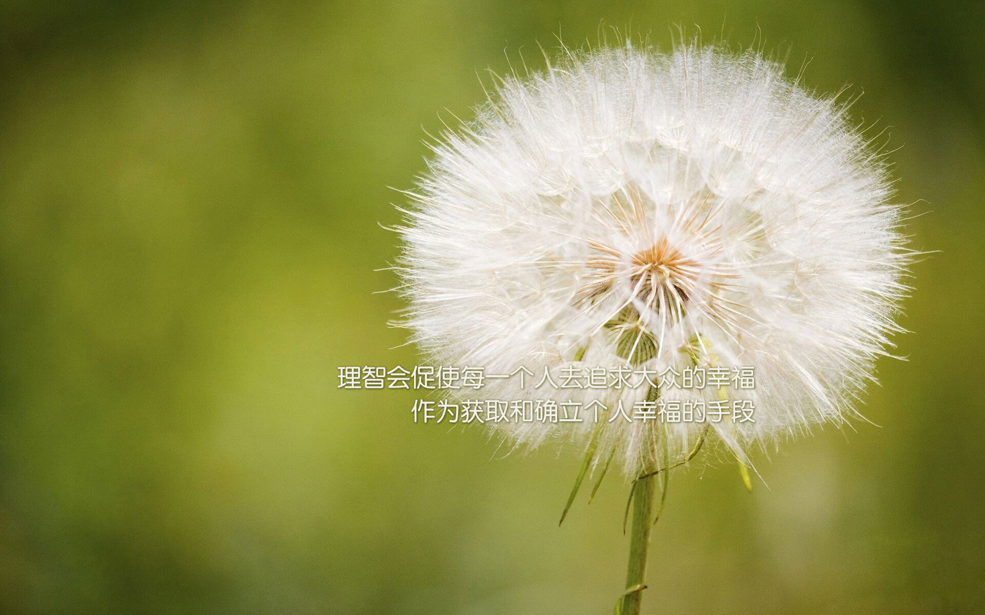 帕尔默,当一具破碎肉身成为全队渡河之桥