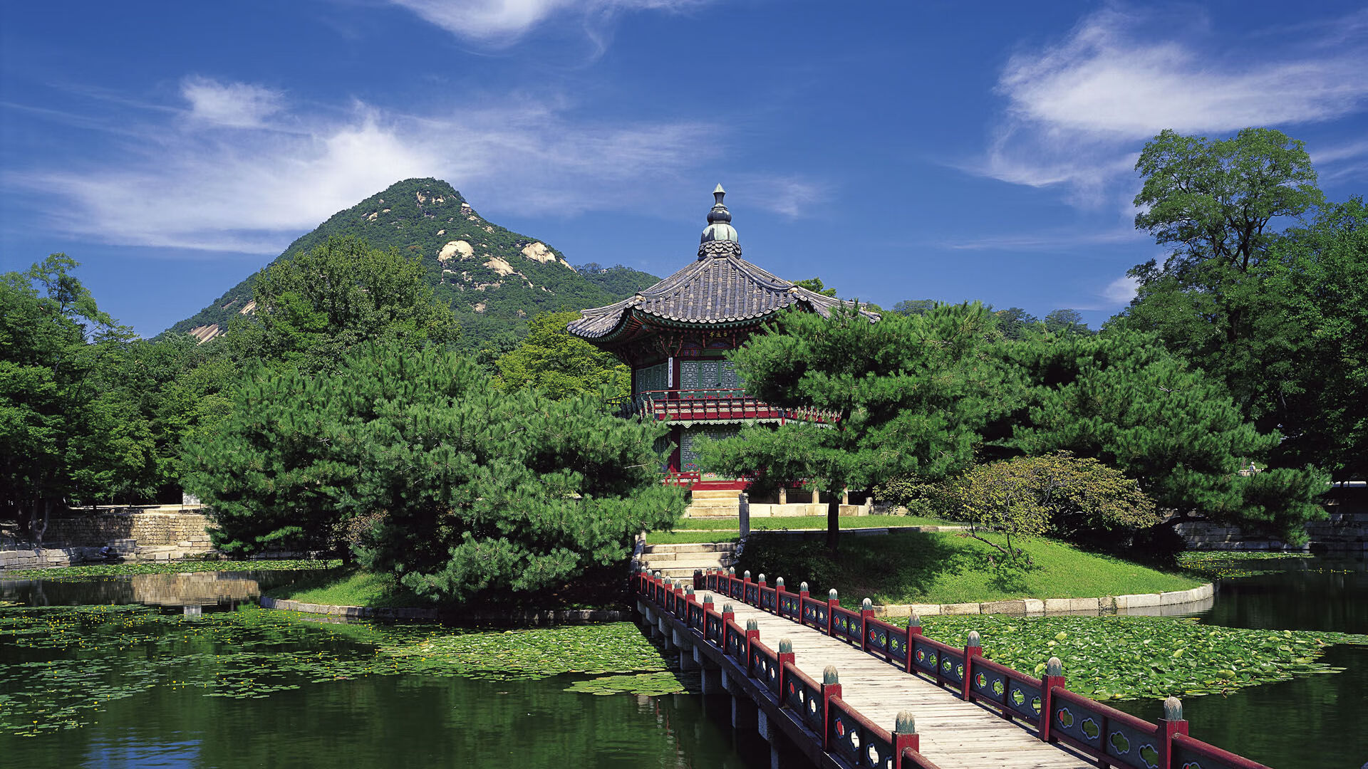 三笘薰压制级发挥助力土耳其强势晋级巴西之旅