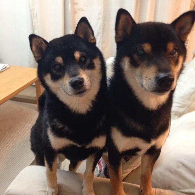 新王加冕最老的国王，与最年轻的王，切特末节20分，完成一场无声的弑君