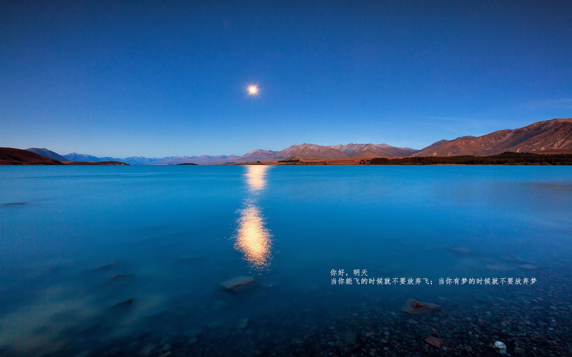 黄金枷锁,当楚阿梅尼用巫毒节奏捆住红龙,非洲足球的现代灵魂在起舞