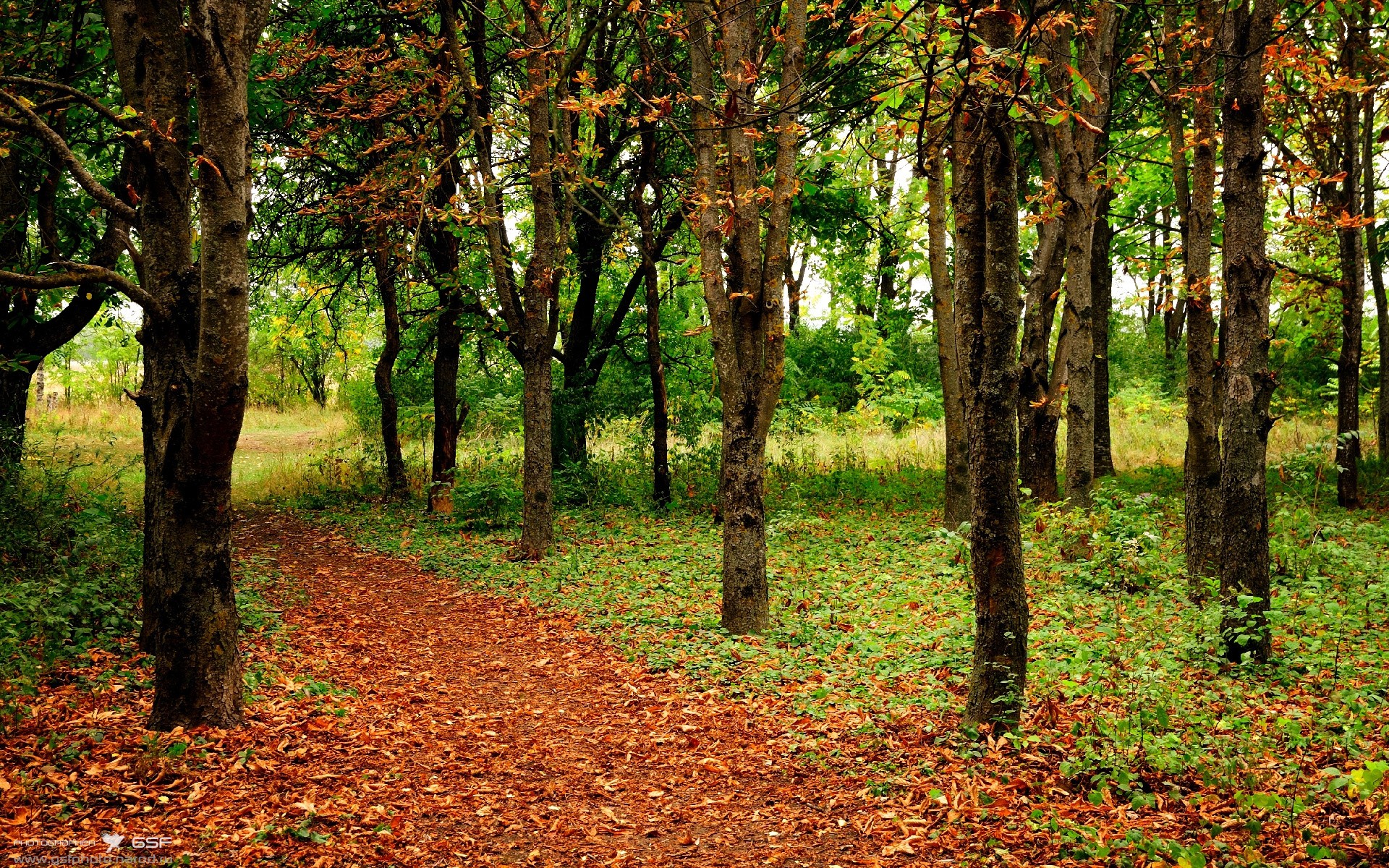 跨越联盟的焦点战，保罗在山西队与老鹰的对决中重拾荣耀