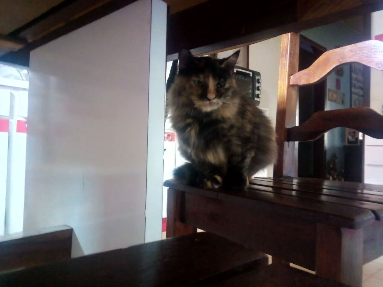 亚洲之光与足球之痛，三笘薰数据爆炸与哥伦比亚加时取胜的启示