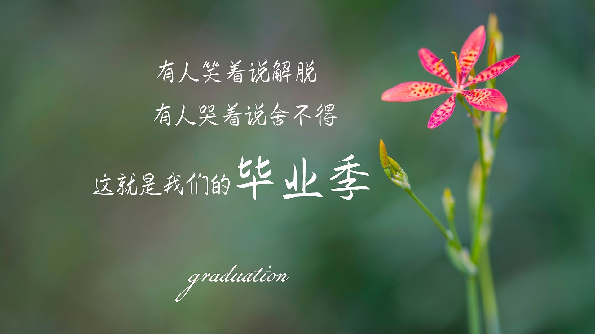 纵横绿茵,唯此一夜,2026世界杯出线战,喀麦隆绝地逆袭英格兰,姆巴佩独耀全场