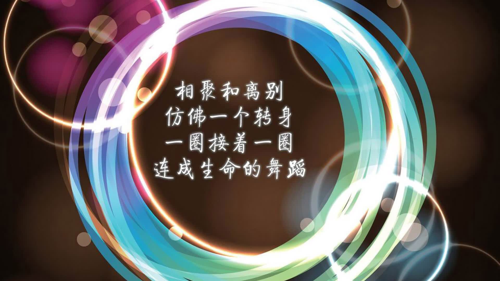 生死线上的王者,哈兰德独舞,哥伦比亚击碎乌拉圭的2026世界杯之梦