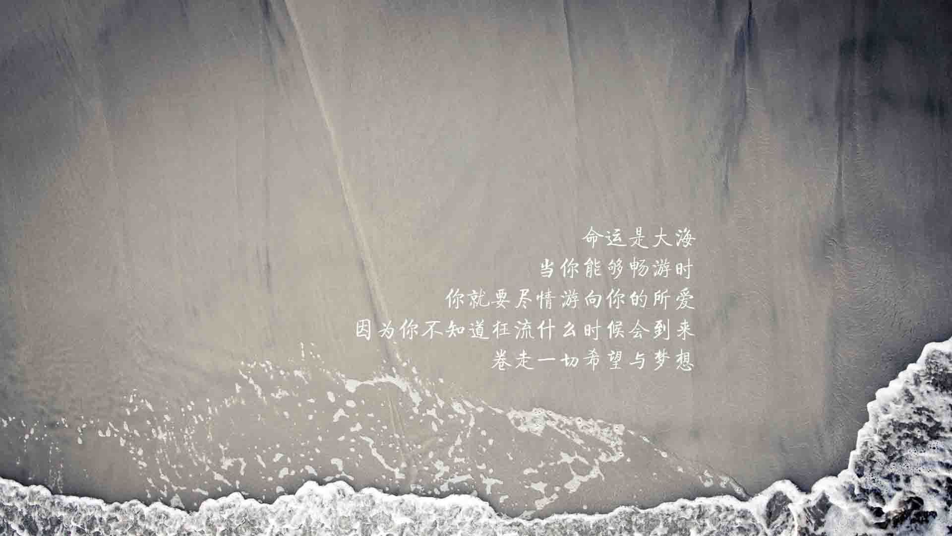 孤峰独照,当福登的左脚,为足球帝国刻下唯一的神谕—2026世界杯决赛巴西vs塞尔维亚终极解码