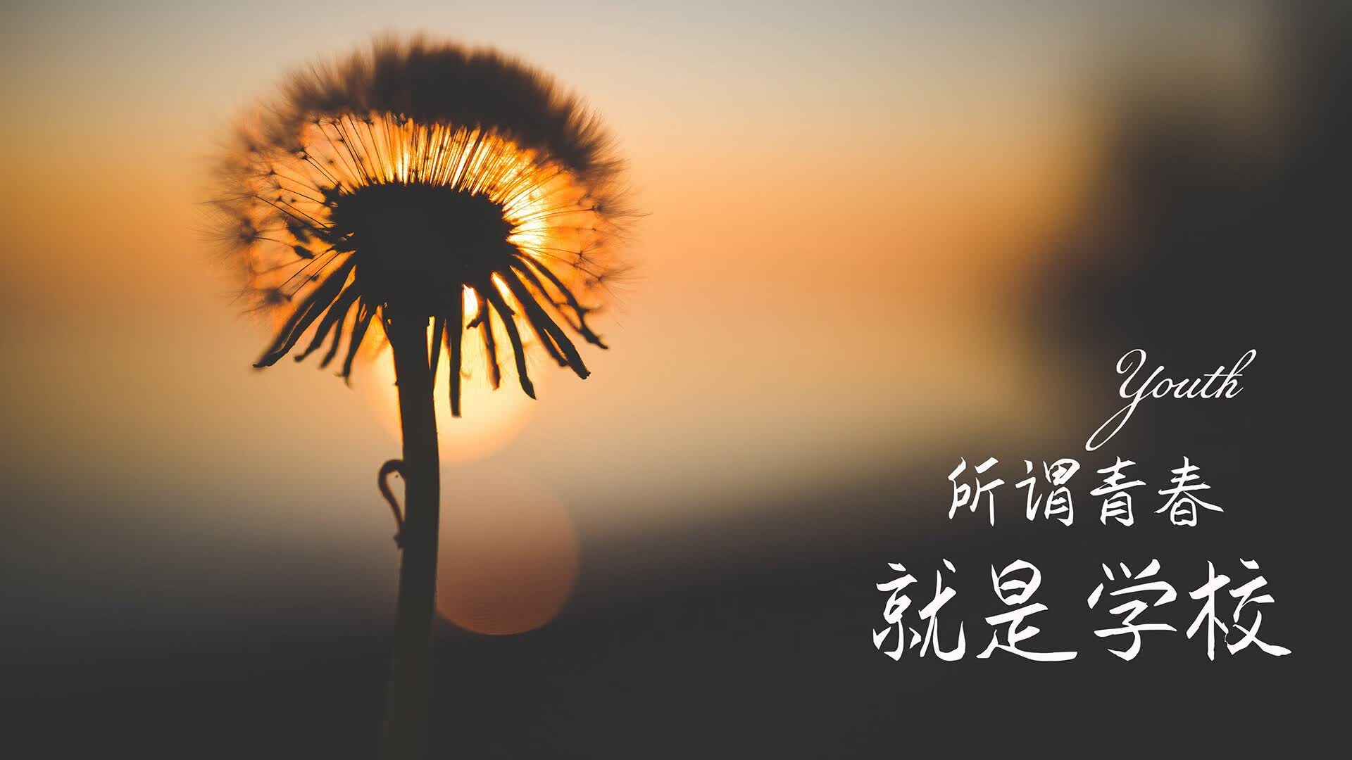 唯一的光，坎塞洛用一场独奏，为斯洛伐克点亮通往2026的暗夜